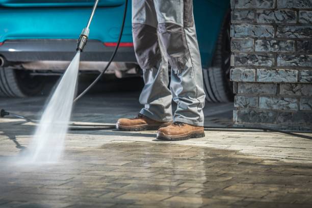 Best Dumpster Area Cleaning  in Sam Rayburn, TX
