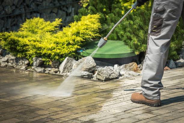 Best Pre-Holiday Cleaning  in Sam Rayburn, TX
